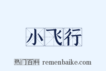 小飞行是什么意思的图片